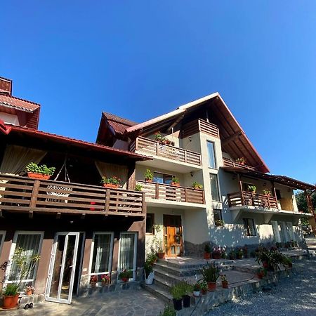 Vila Sorina Borşa Buitenkant foto