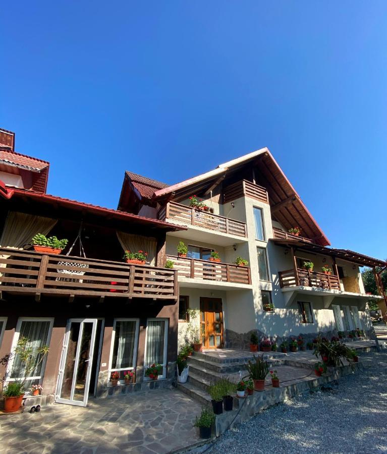 Vila Sorina Borşa Buitenkant foto