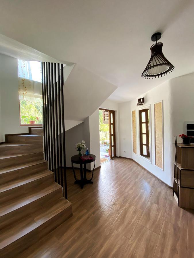 Vila Sorina Borşa Buitenkant foto