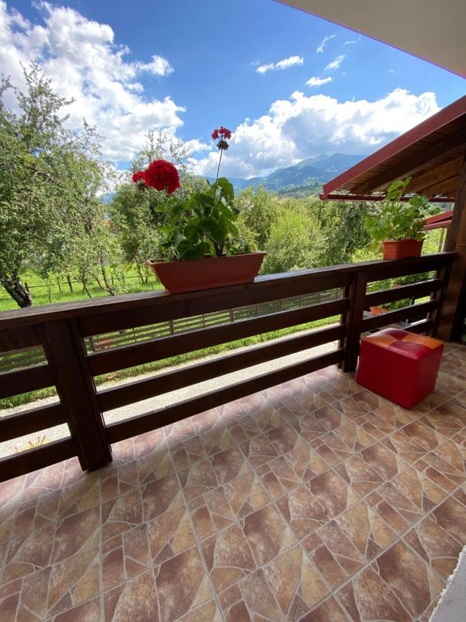 Vila Sorina Borşa Buitenkant foto