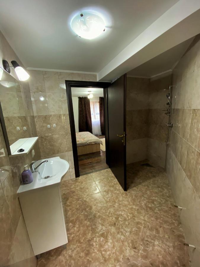 Vila Sorina Borşa Buitenkant foto