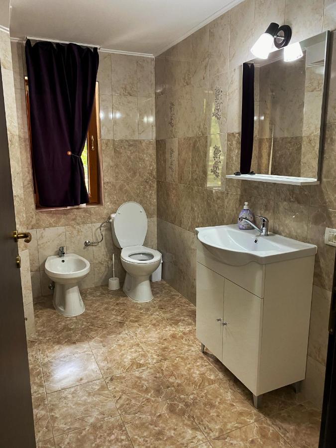 Vila Sorina Borşa Buitenkant foto