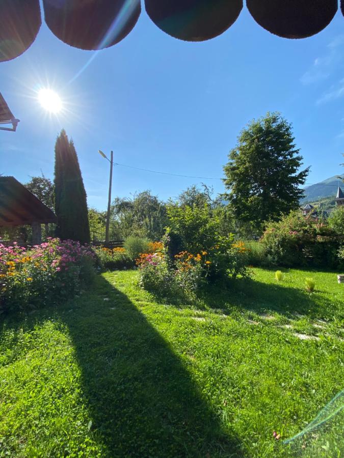 Vila Sorina Borşa Buitenkant foto