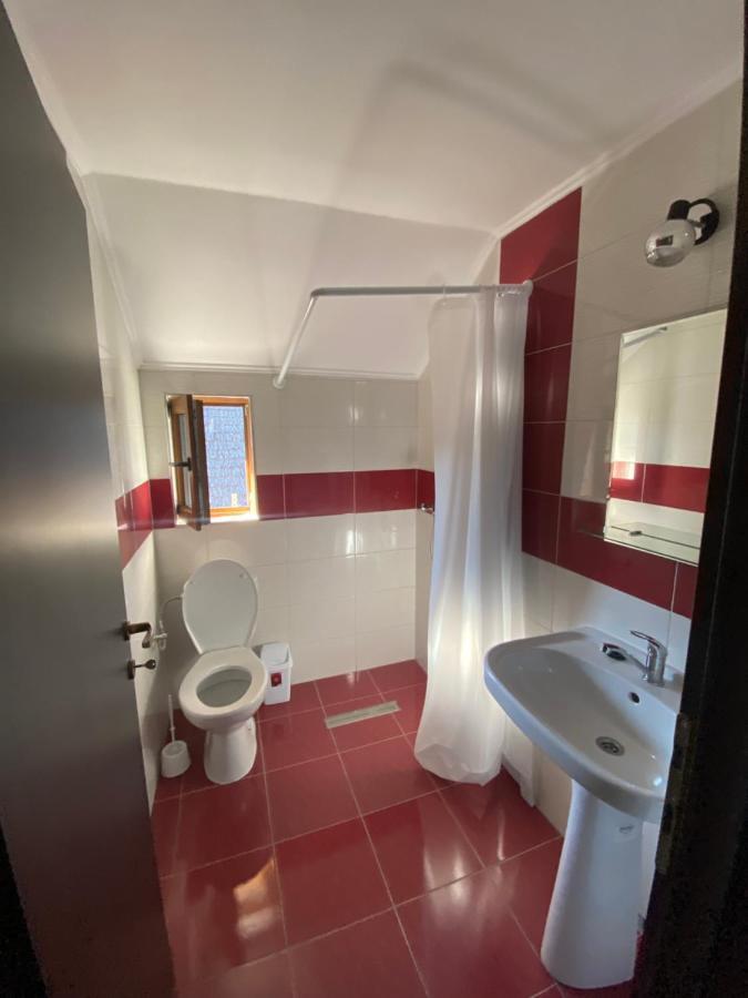 Vila Sorina Borşa Buitenkant foto
