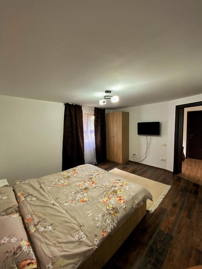 Vila Sorina Borşa Buitenkant foto