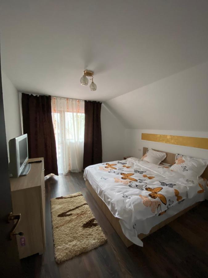 Vila Sorina Borşa Buitenkant foto