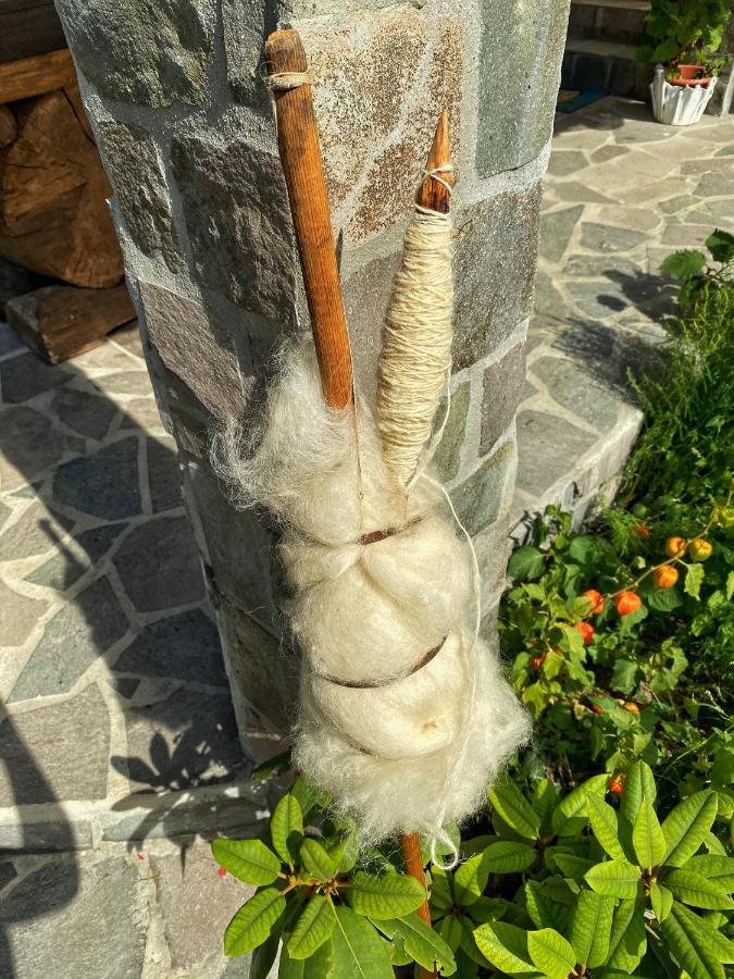 Vila Sorina Borşa Buitenkant foto
