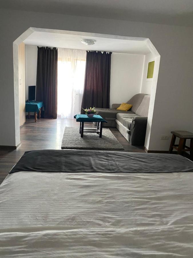 Vila Sorina Borşa Buitenkant foto