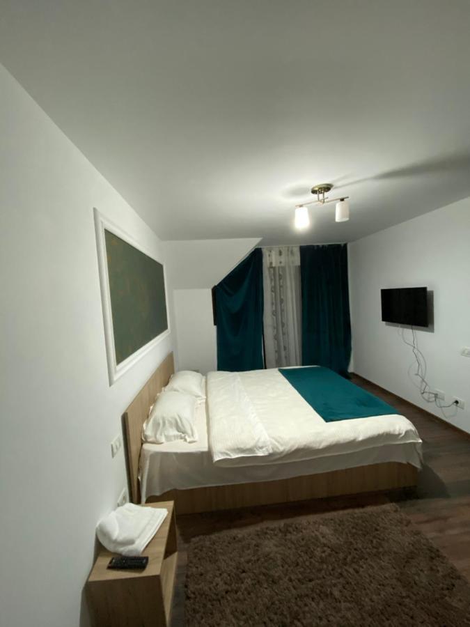 Vila Sorina Borşa Buitenkant foto