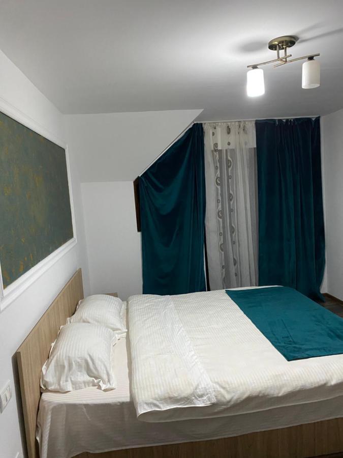 Vila Sorina Borşa Buitenkant foto