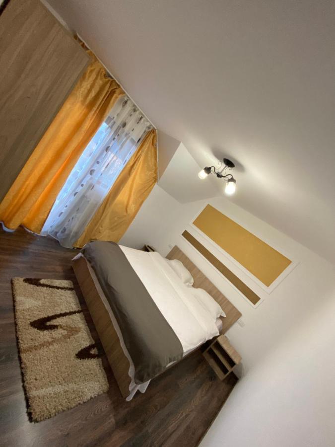 Vila Sorina Borşa Buitenkant foto