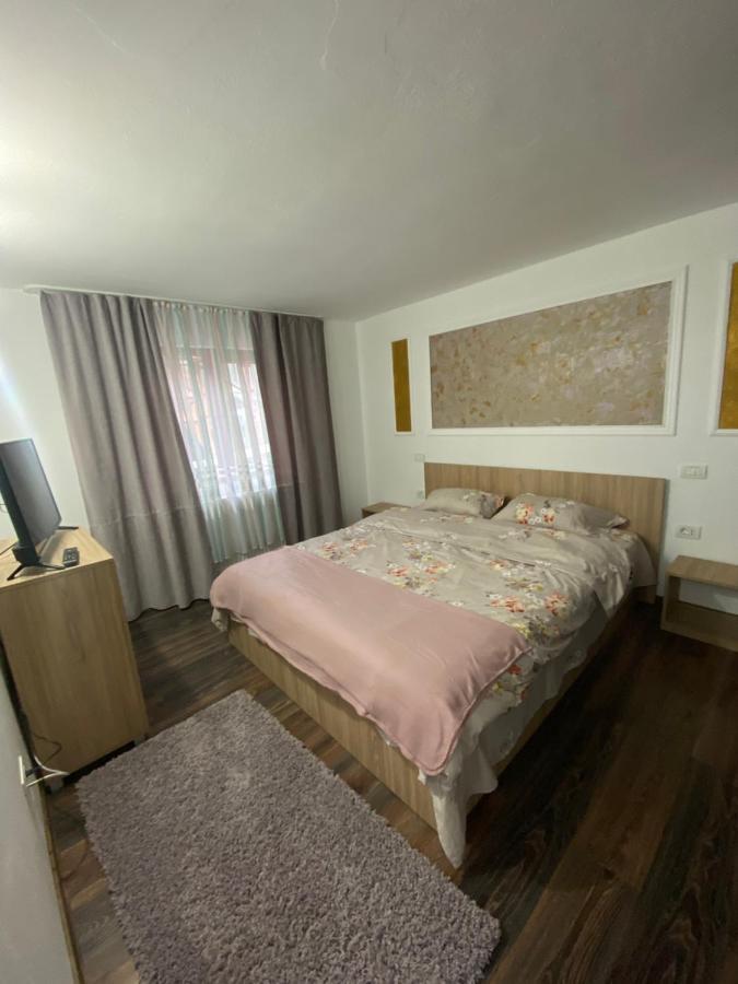 Vila Sorina Borşa Buitenkant foto