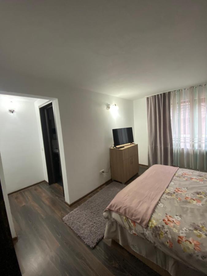 Vila Sorina Borşa Buitenkant foto