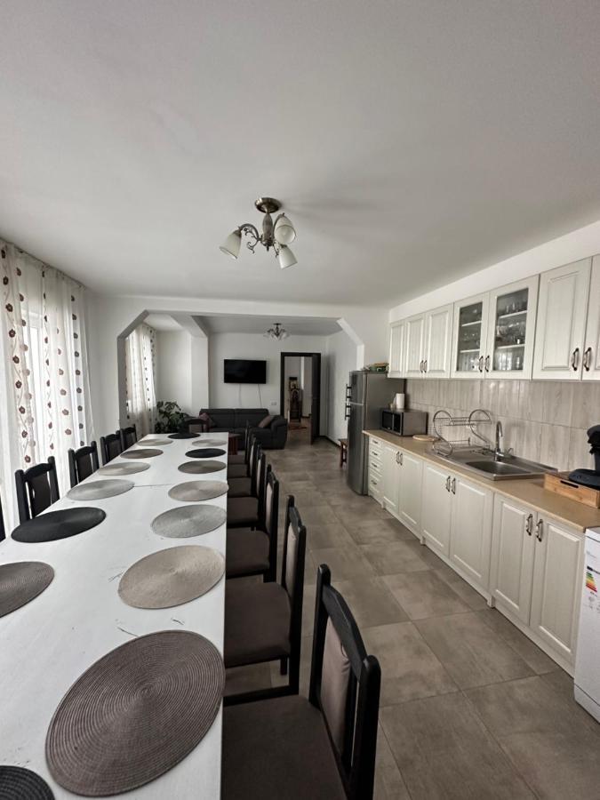 Vila Sorina Borşa Buitenkant foto