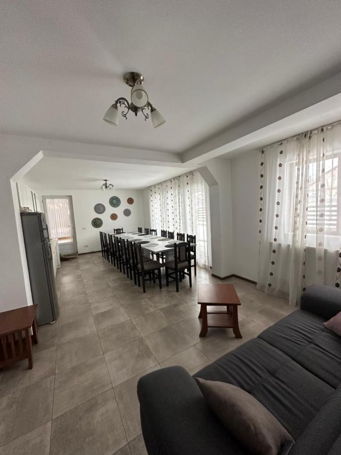 Vila Sorina Borşa Buitenkant foto