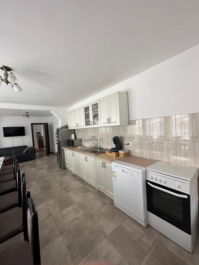 Vila Sorina Borşa Buitenkant foto